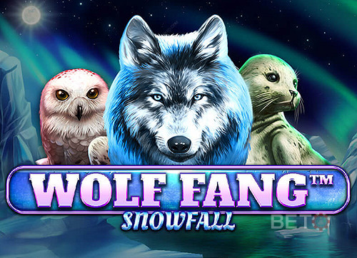 Wolf Fang Snowfall