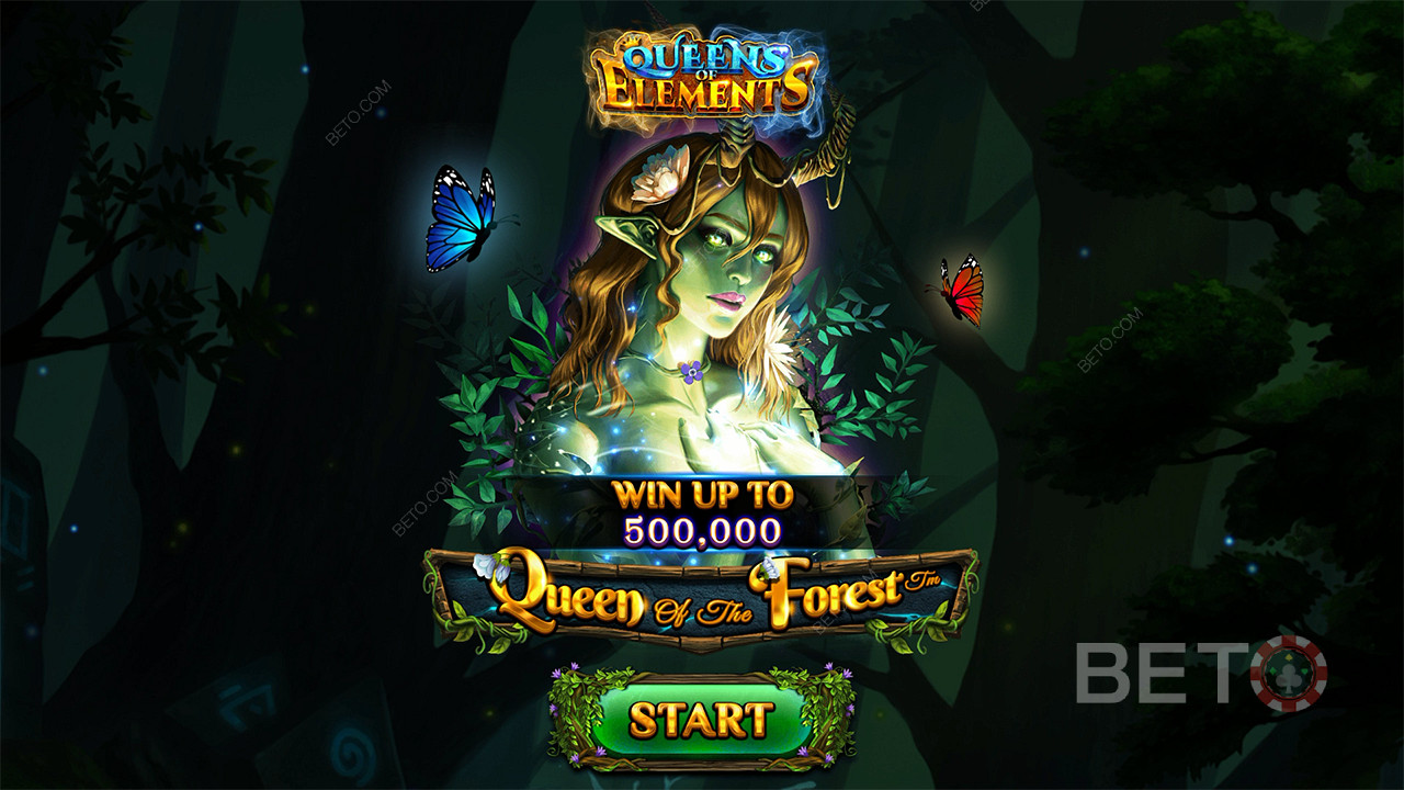 Queen of the Forest เล่นฟรี
