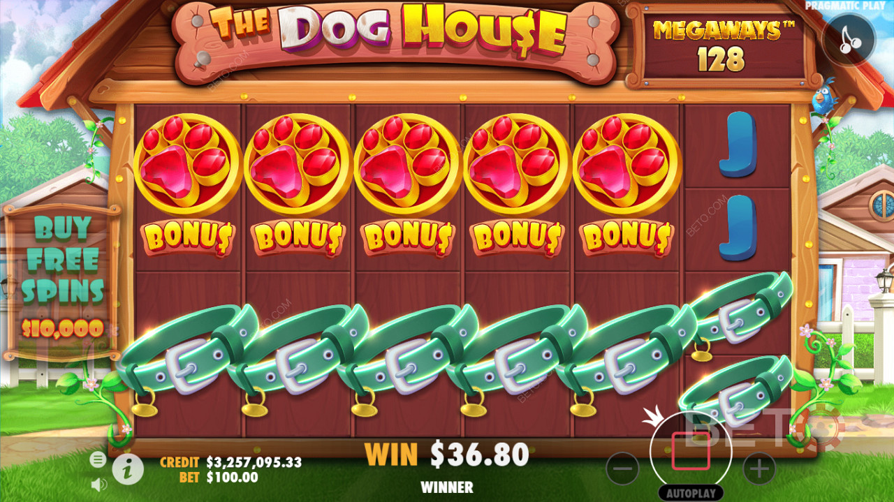 อินเทอร์เฟซการเล่นเกมโดยละเอียดของสล็อตคาสิโน The Dog House Megaways