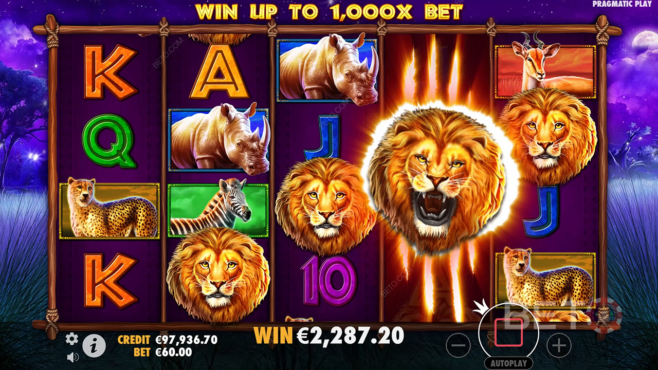 รีวิว Safari King โดย BETO Slots