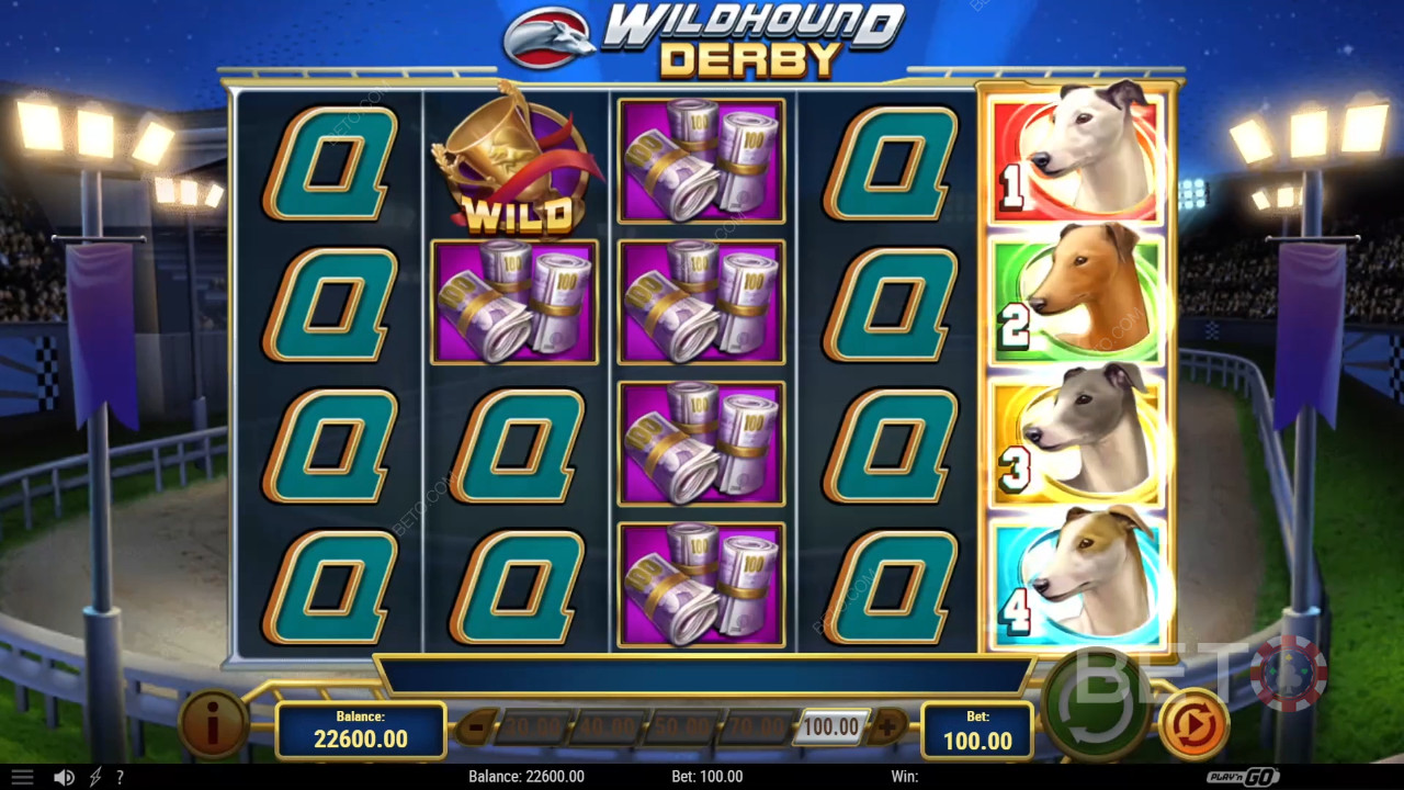 รีวิว Wildhound Derby โดย BETO Slots
