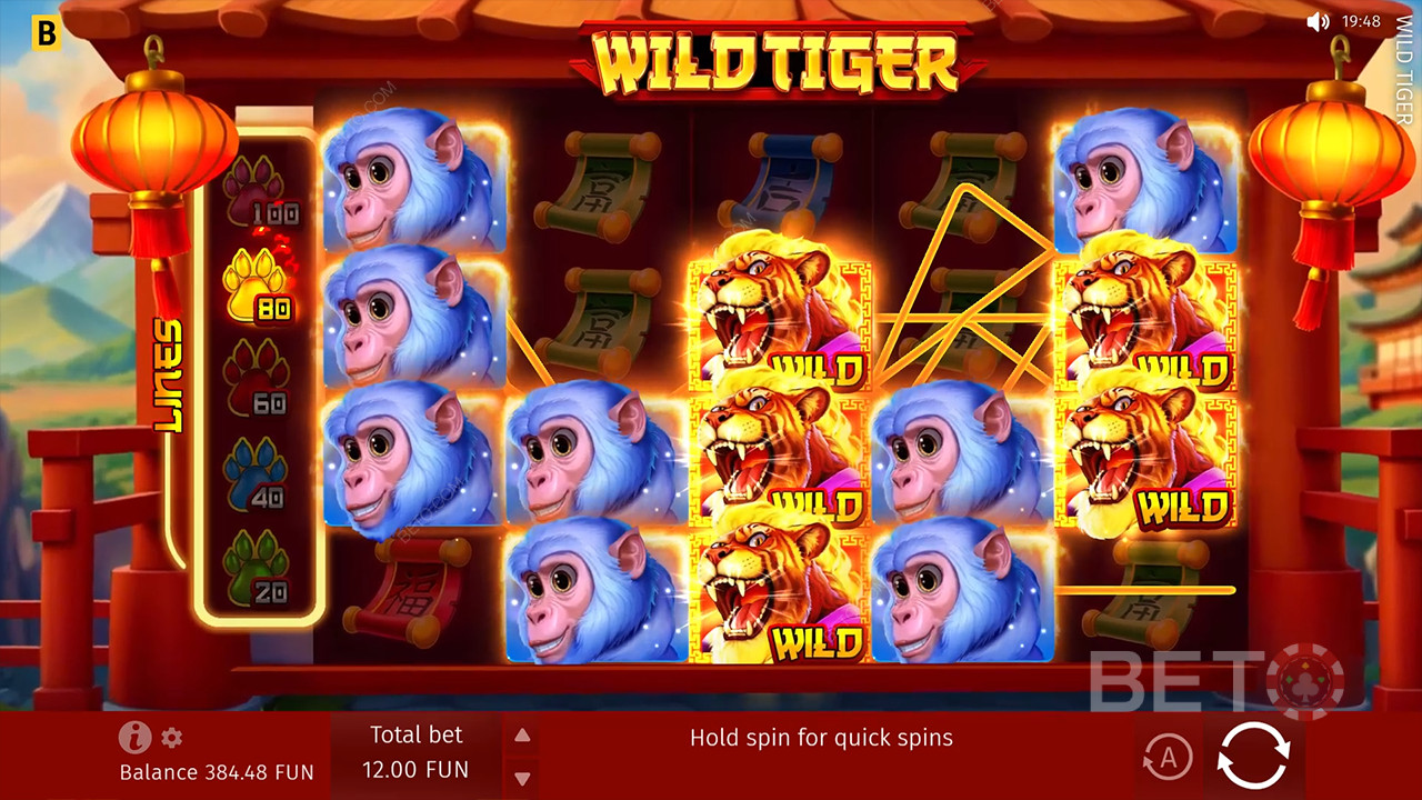 รีวิว Wild Tiger โดย BETO Slots
