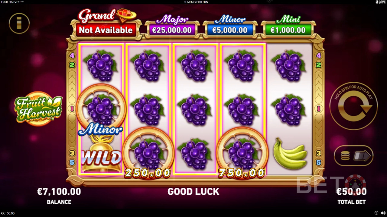 อธิบายคุณสมบัติโบนัสในเกม Fruit Harvest โดย Rarestone Gaming