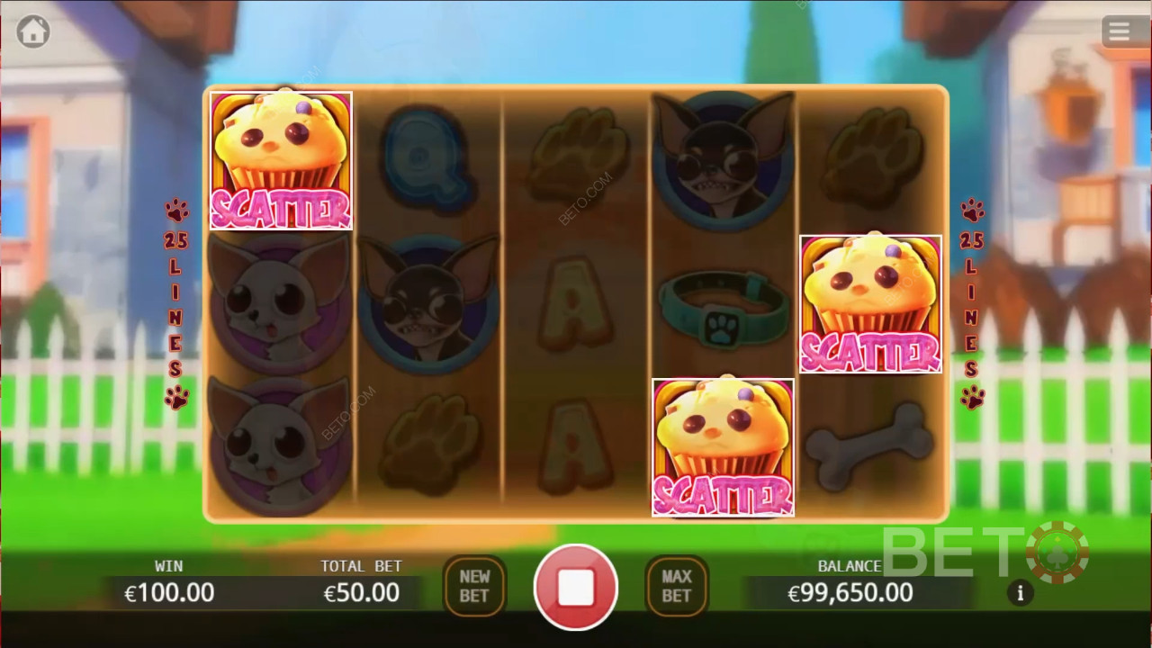 Chihuahua Party เล่นฟรี