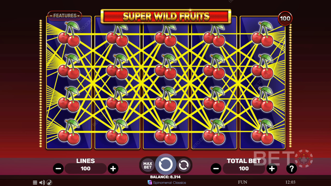 รีวิว Super Wild Fruits โดย BETO Slots