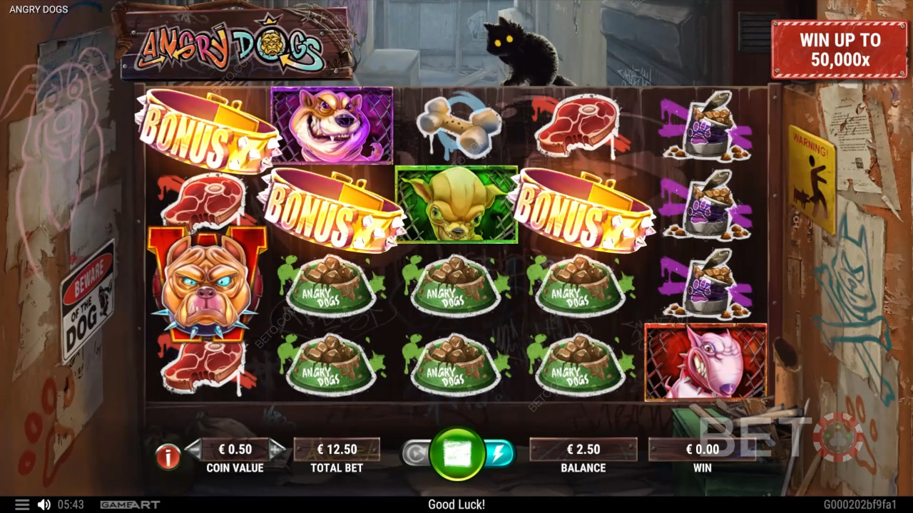 Angry Dogs เล่นฟรี