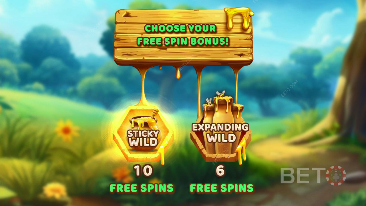 ธีมและการออกแบบ: Bee Adventure Quest