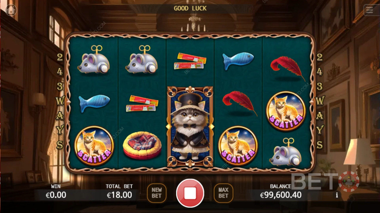 Noble Cat เล่นฟรี