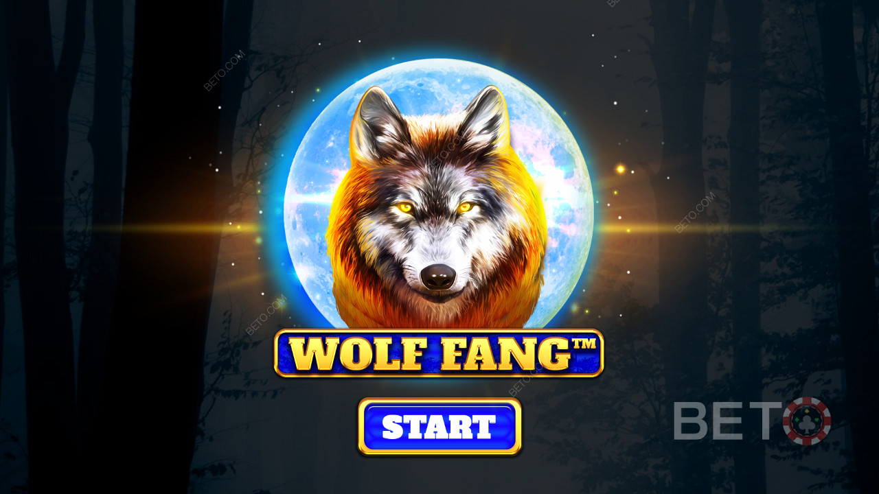 ล่าหมู่หมาป่าที่ดุร้ายที่สุดและลุ้นรับรางวัลในสล็อตออนไลน์ Wolf Fang