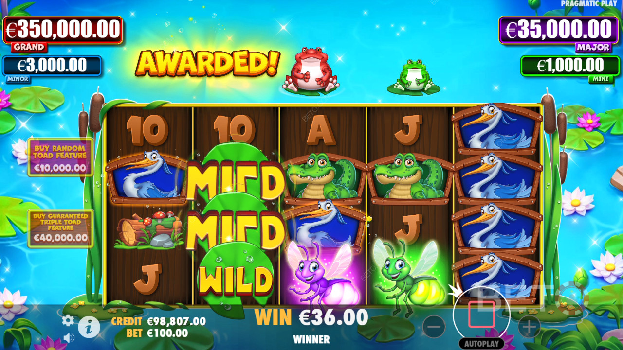 รีวิว Tiny Toads โดย BETO Slots