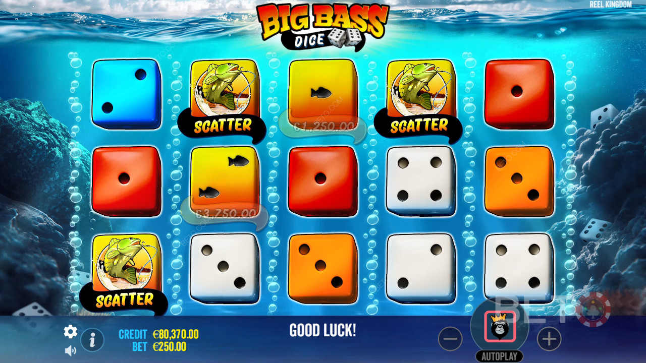 รีวิว Big Bass Dice จาก BETO Slots