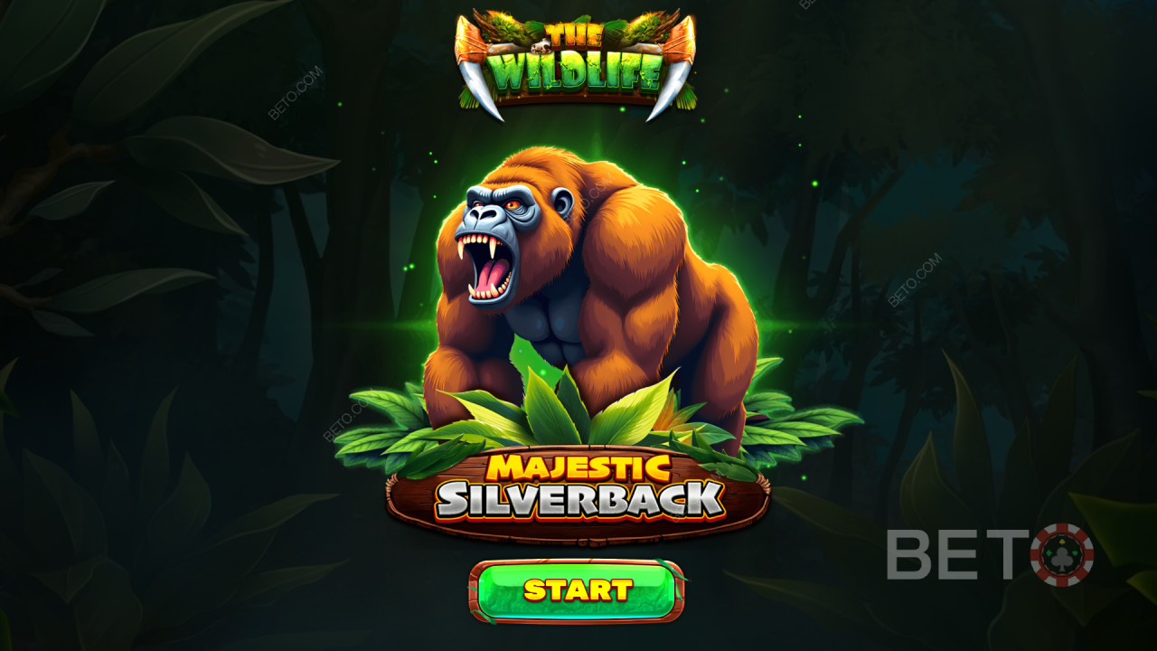 อธิบายคุณสมบัติโบนัสใน Majestic Silverback โดย Spinomenal