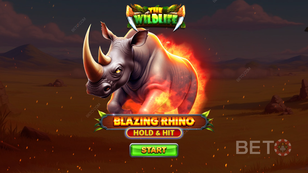 วิธีเล่น Blazing Rhino Hold & Hit ของ Spinomenal