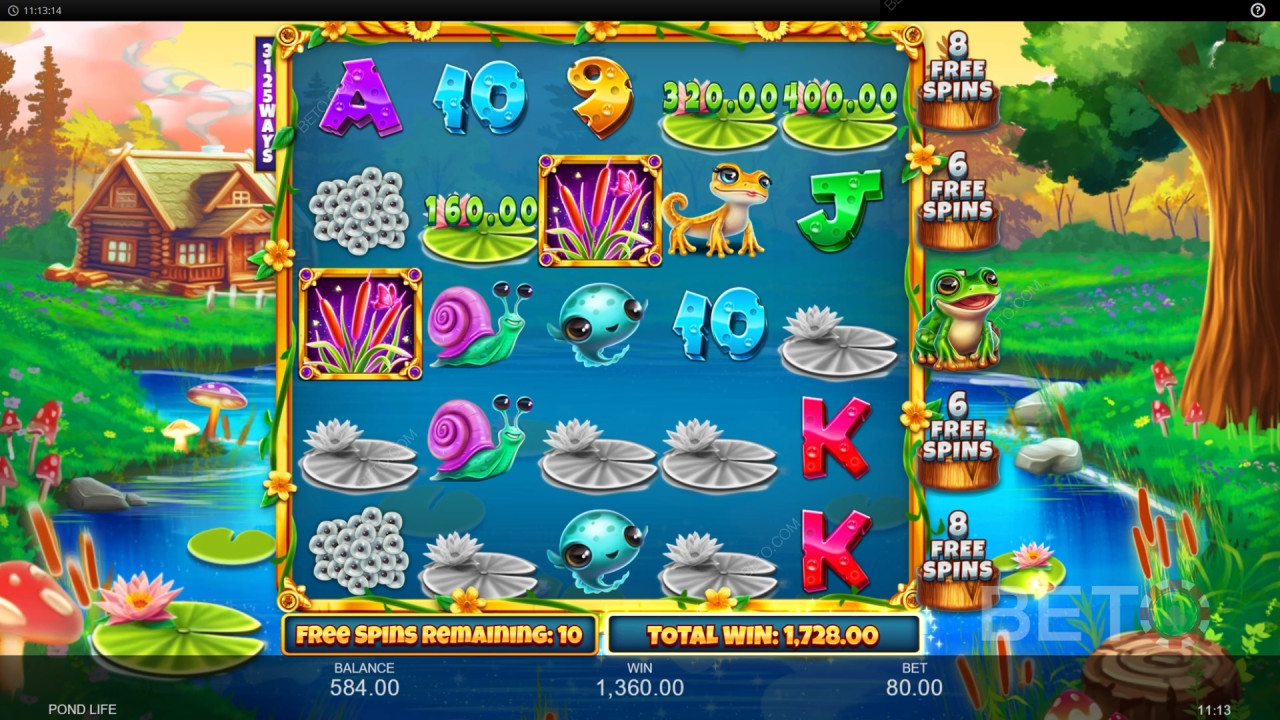คำอธิบายคุณสมบัติเพิ่มเติมในเกม Pond Life จาก Inspired Gaming