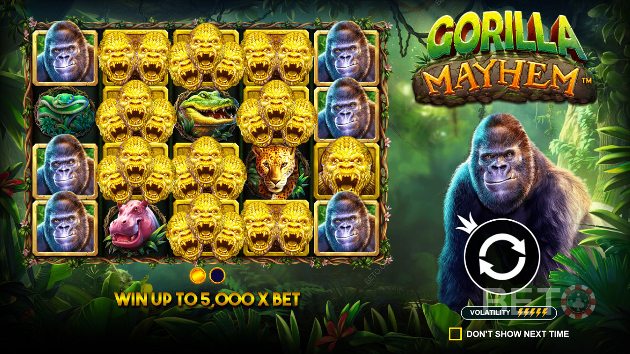 สัญลักษณ์ Golden Gorilla มีบทบาทสำคัญในสล็อต Gorilla Mayhem
