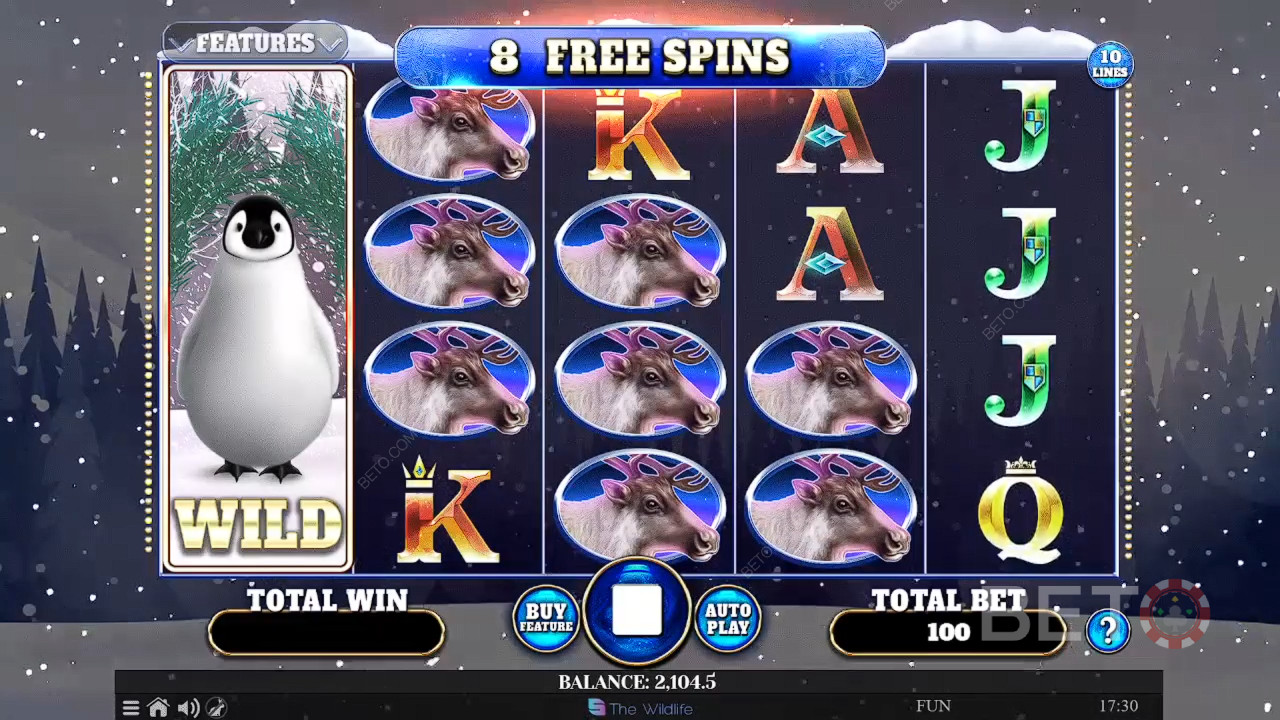 รีวิว Wild Penguin โดย BETO Slots