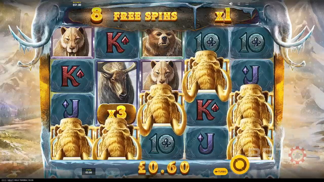 รีวิว Wild Tundra โดย BETO Slots