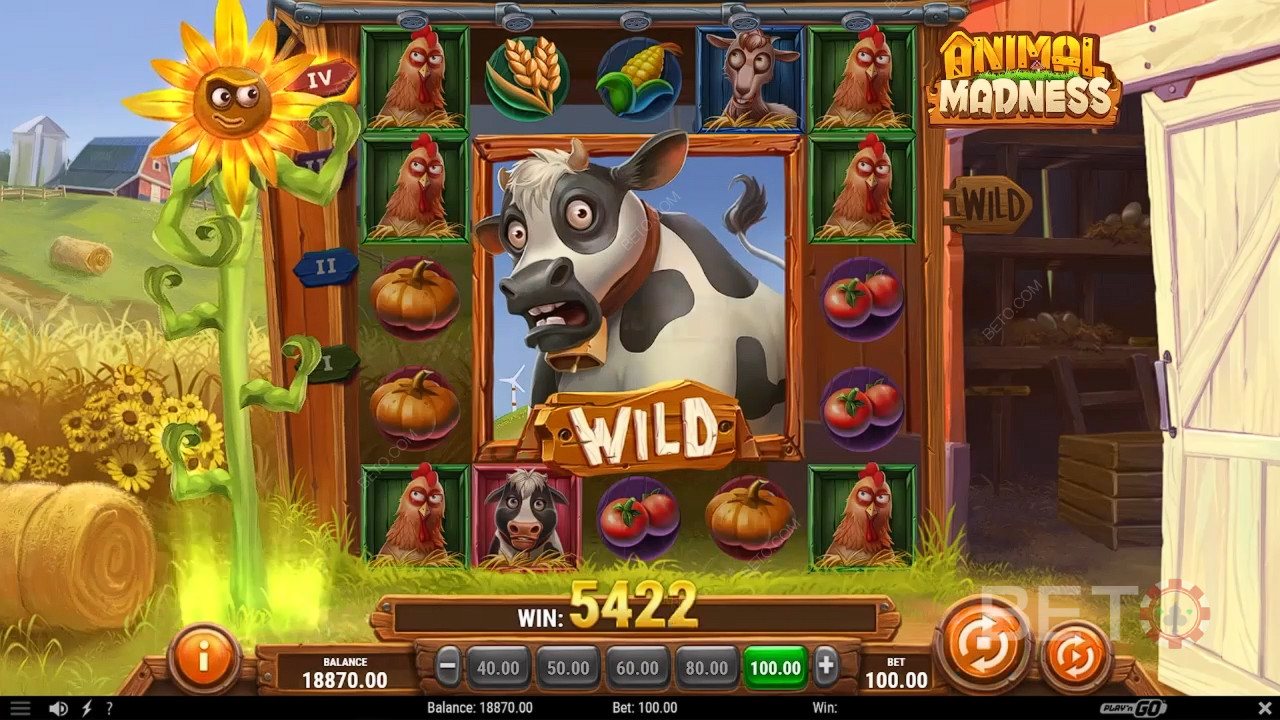 รีวิว Animal Madness โดย BETO Slots