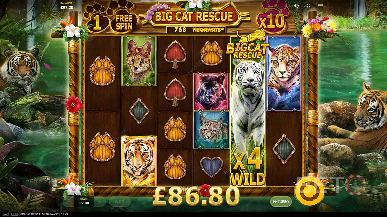 Big Cat Rescue Megaways เล่นฟรี