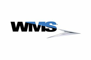  WMS เล่นสล็อตออนไลน์และเกมคาสิโนฟรี  (2024)