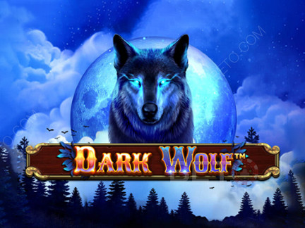 Dark Wolf เดโม