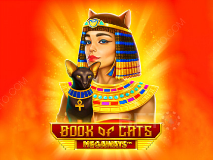 Book of Cats Megaways เดโม