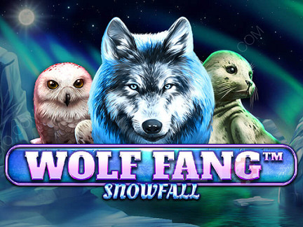 Wolf Fang Snowfall เดโม