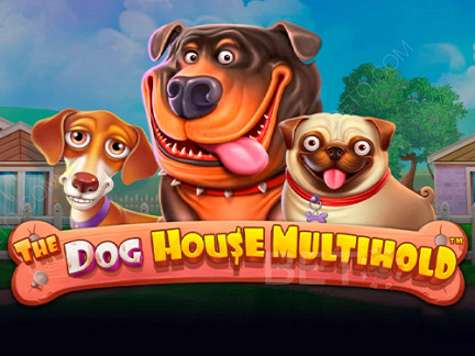 The Dog House Multihold เดโม