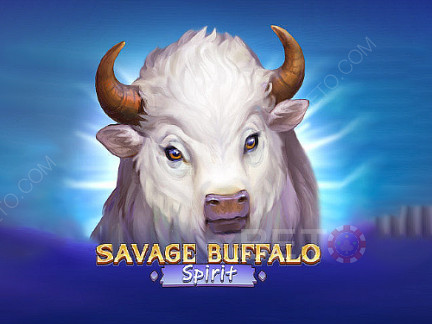 Savage Buffalo Spirit เดโม