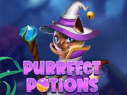 Purrfect Potions เดโม