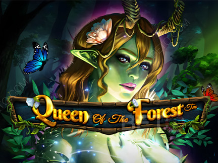 Queen of the Forest เดโม