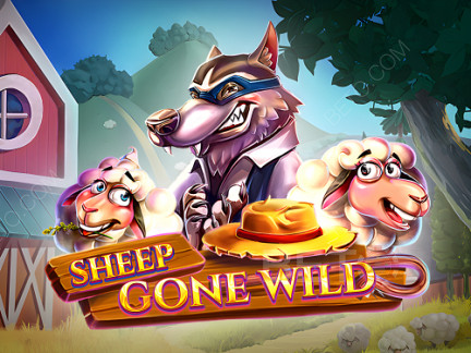 Sheep Gone Wild เดโม