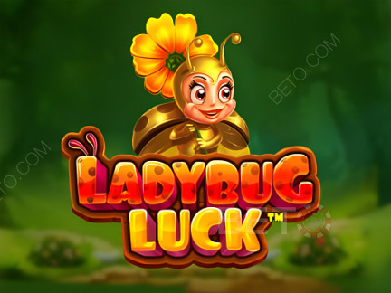 Ladybug Luck  เดโม