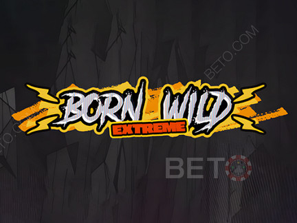 Born Wild เดโม