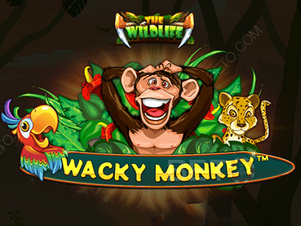 Wacky Monkey เดโม