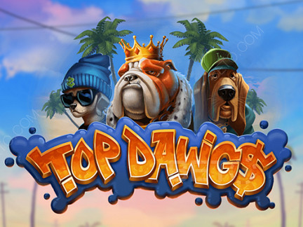 Top Dawgs เดโม