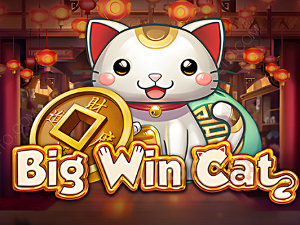 Big Win Cat เดโม