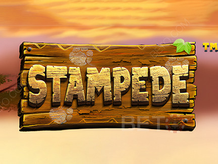 Stampede (Betsoft)  เดโม