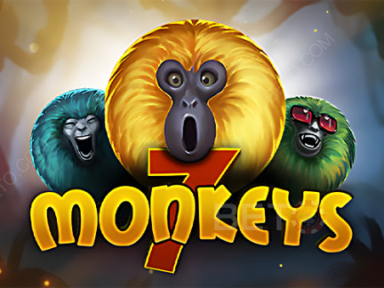 7 Monkeys  เดโม