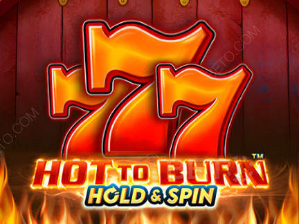 Hot To Burn Hold And Spin เดโม