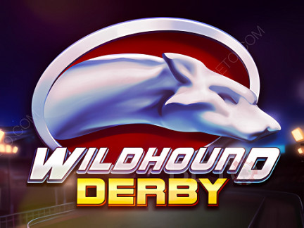 Wildhound Derby เดโม