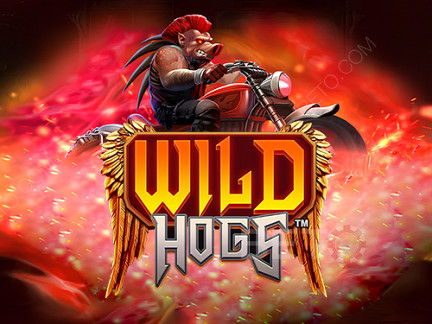 Wild Hogs เดโม