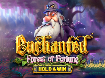 Enchanted: Forest of Fortune เดโม