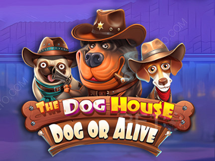 The Dog House - Dog or Alive เดโม