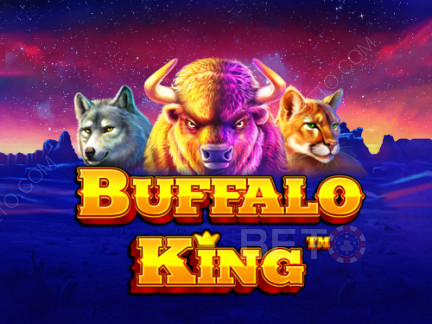 Buffalo King  เดโม