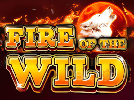 Fire of the Wild เดโม