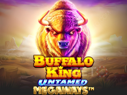 Buffalo King Untamed Megaways เดโม