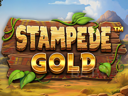 Stampede Gold เดโม