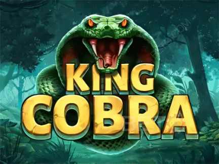 King Cobra เดโม