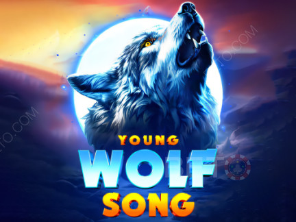 Young Wolf Song เดโม